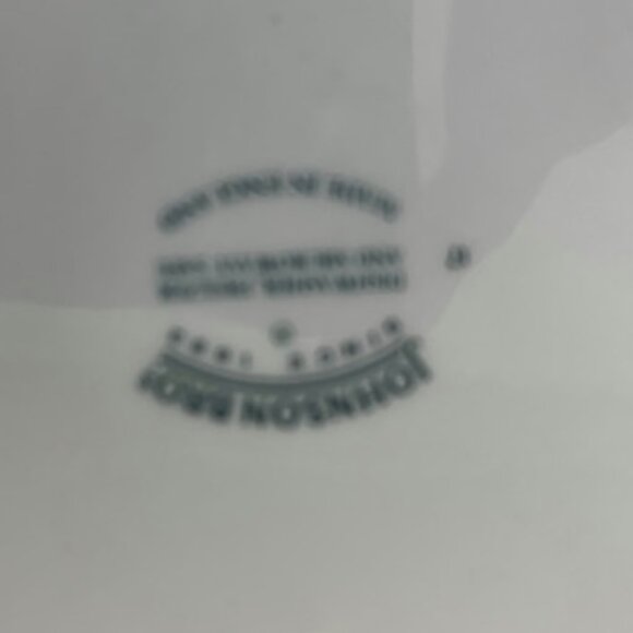 Vintage Johnson Bros. Painted Plate - Picture 4 of 4